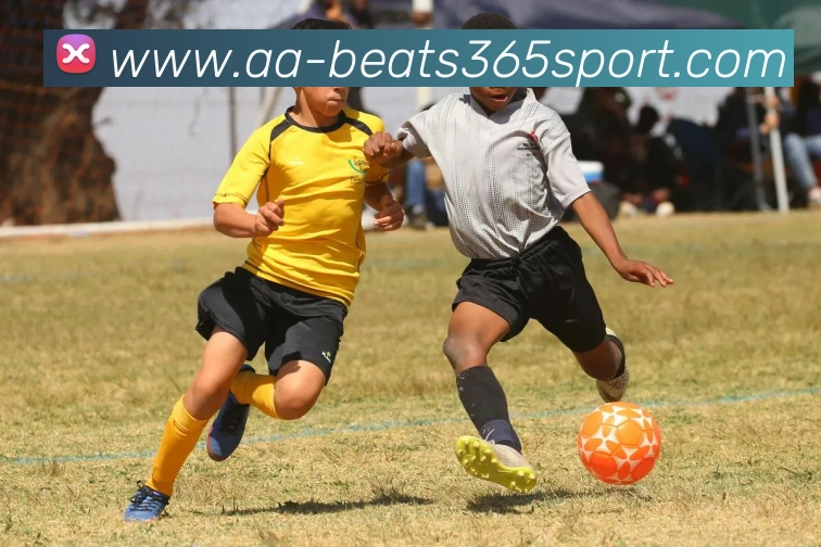 beats365体育平台生态图