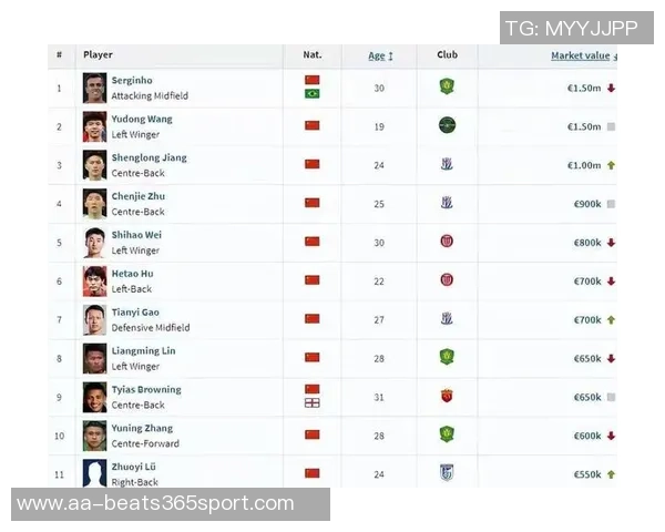 中超球员身价最新排名米特里策领衔蒋圣龙大幅上涨武磊身价下滑至50万